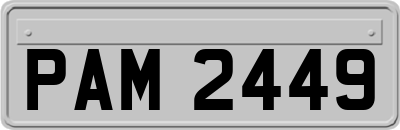PAM2449