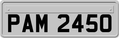 PAM2450
