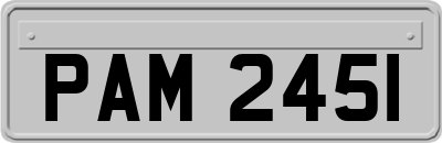 PAM2451