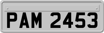 PAM2453