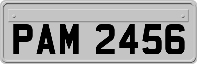 PAM2456