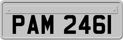 PAM2461