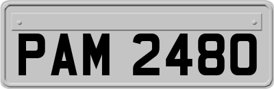 PAM2480