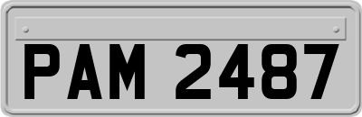 PAM2487