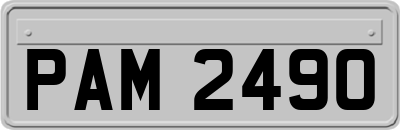 PAM2490