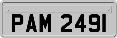 PAM2491