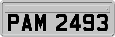 PAM2493