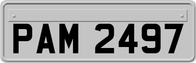 PAM2497