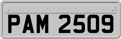 PAM2509