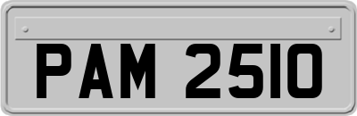 PAM2510