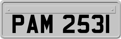 PAM2531