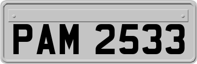 PAM2533
