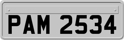 PAM2534