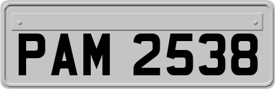 PAM2538