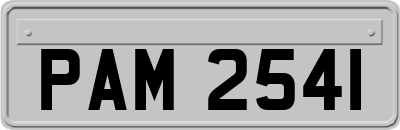 PAM2541