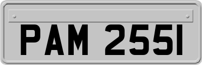PAM2551