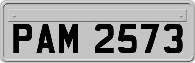 PAM2573