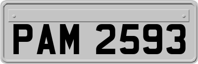 PAM2593