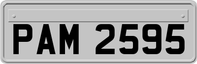 PAM2595