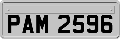 PAM2596