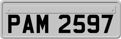 PAM2597