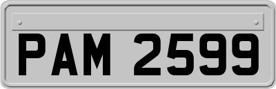 PAM2599