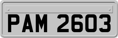 PAM2603