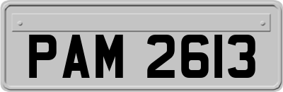 PAM2613