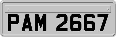 PAM2667