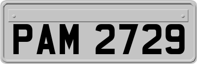 PAM2729