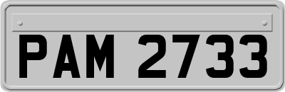 PAM2733