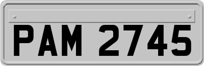 PAM2745