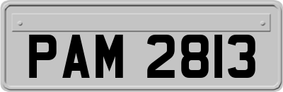PAM2813