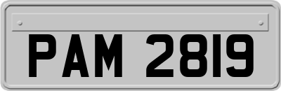 PAM2819