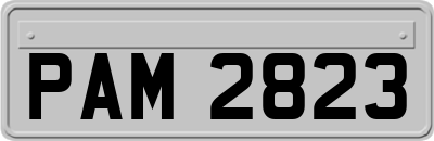 PAM2823