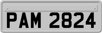 PAM2824