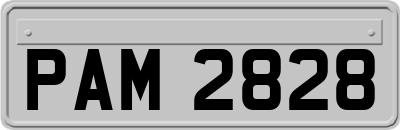 PAM2828