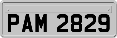 PAM2829