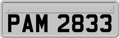 PAM2833