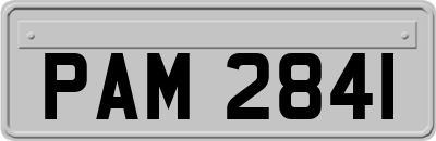 PAM2841