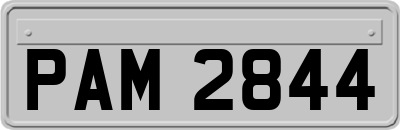 PAM2844