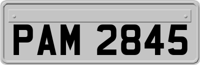 PAM2845