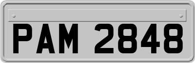 PAM2848