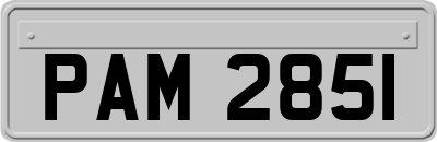 PAM2851