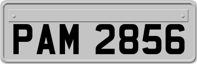 PAM2856