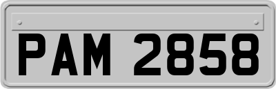 PAM2858