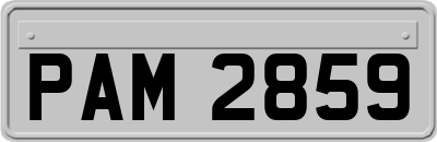 PAM2859