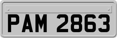 PAM2863