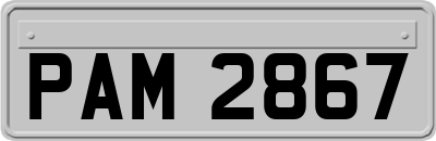 PAM2867