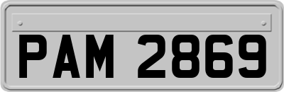 PAM2869